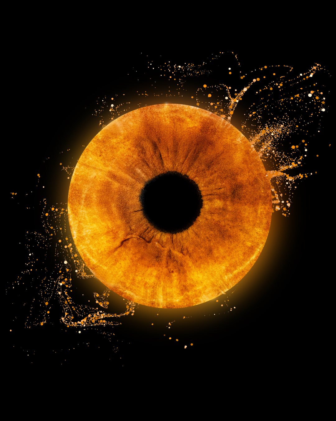 Photo d'iris orangé macro avec projections dorées — montage artistique LYOVAPICTURES Forbach